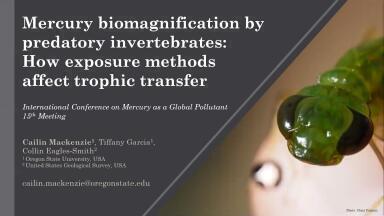 Mercury biomagnification by predatory invertebrates: How exposure methods affect trophic transfer